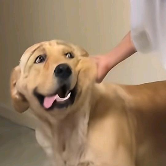 枷锁⦁֊⦁