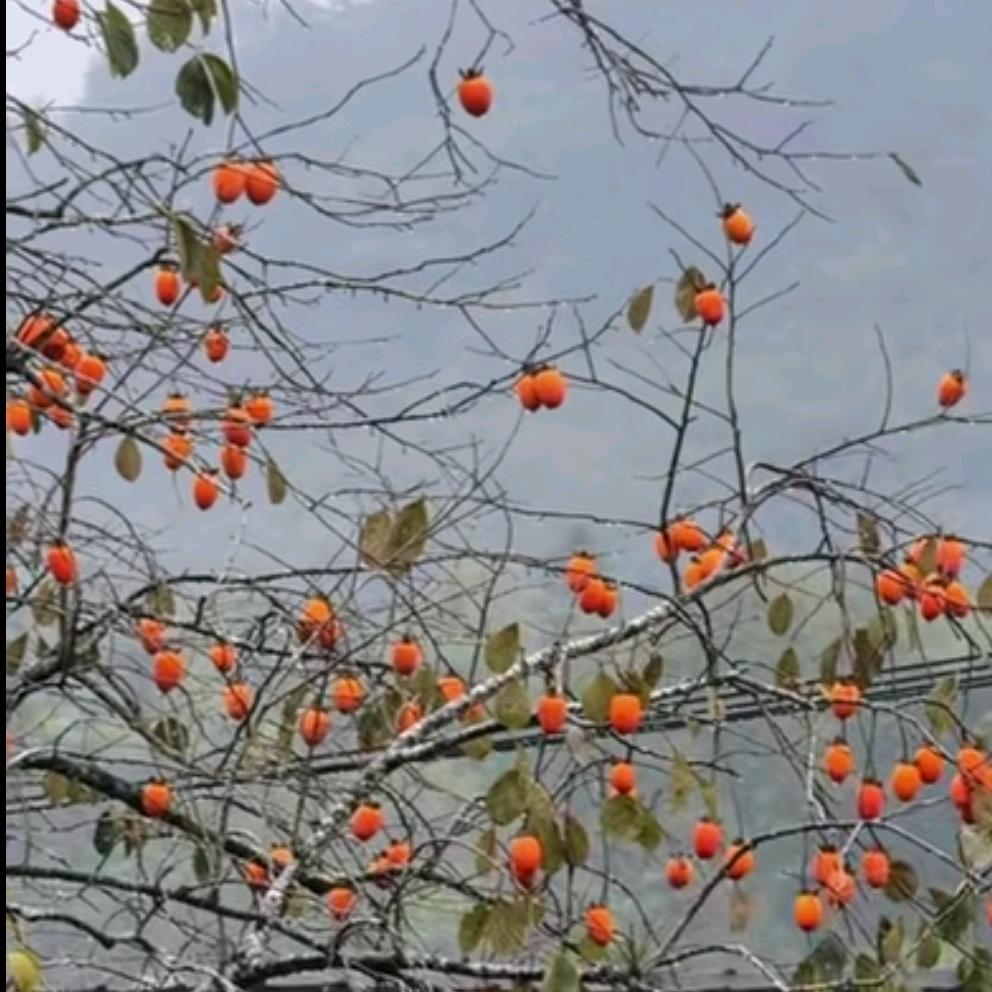 中国梦！！！我的梦！！！