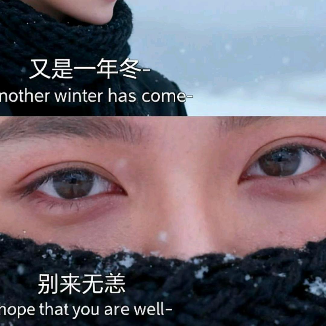 人参和醋不相逢🦋