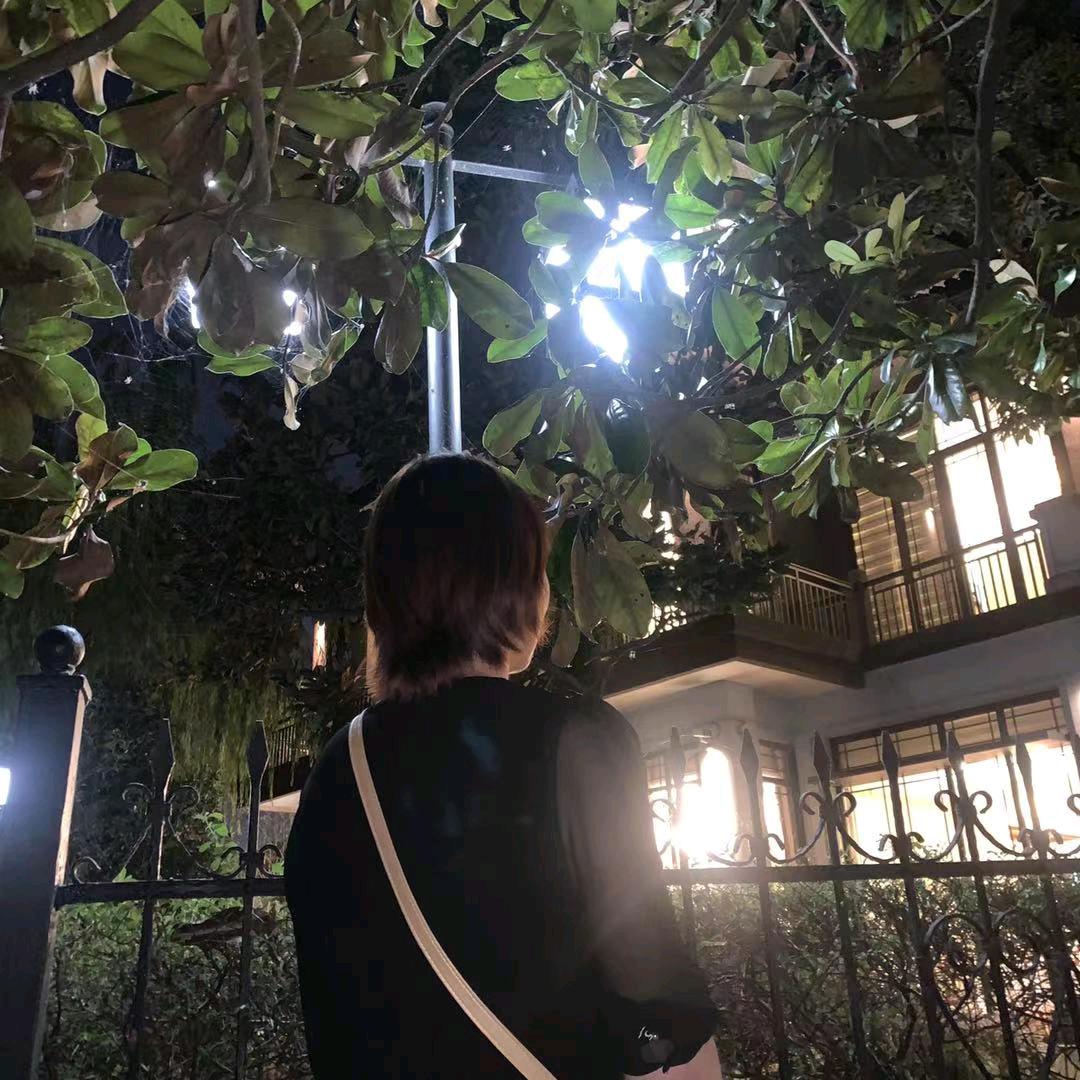 杨燕