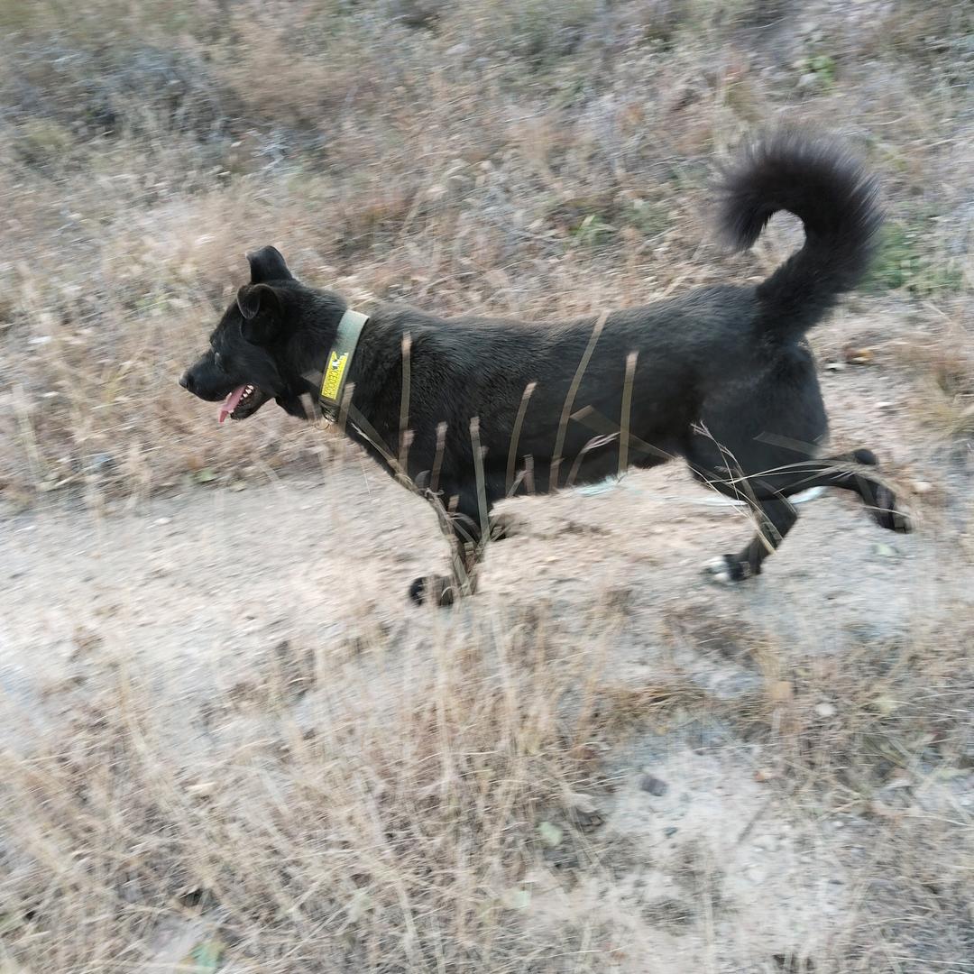 爷们要有范🐮🐶