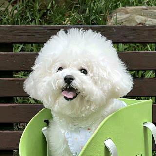 运 气 曾 不 戳😎