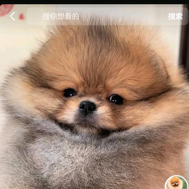 ල᭄老默ꦿ᭄࿐