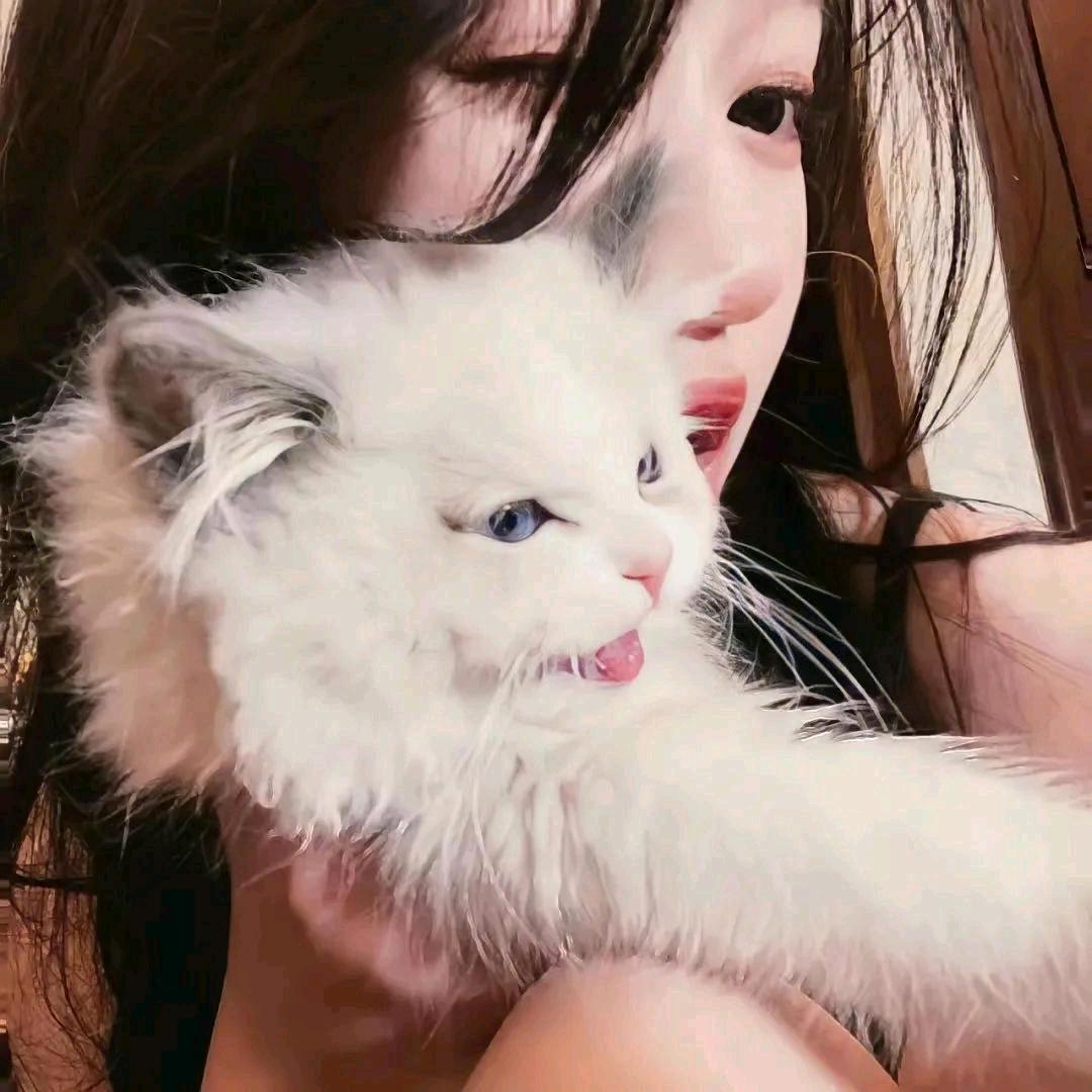 诗页的第一篇