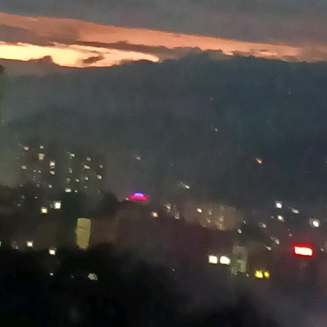 青松_229964973