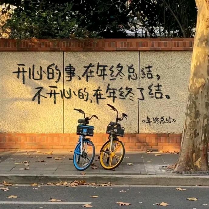 完美的尘埃