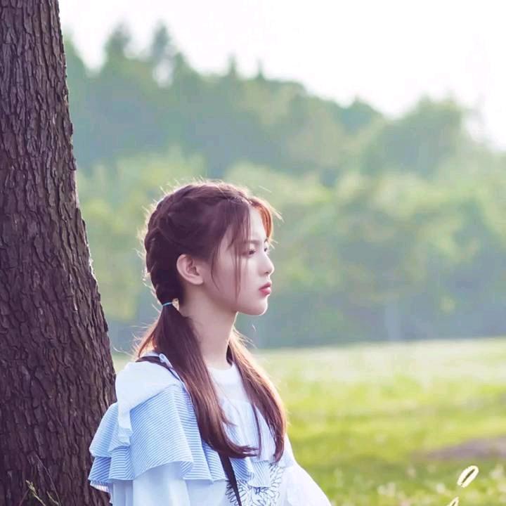 1213{段}重庆黔江