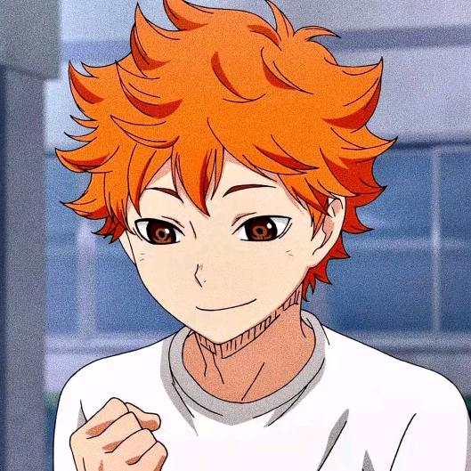 日向翔阳🌞小太阳