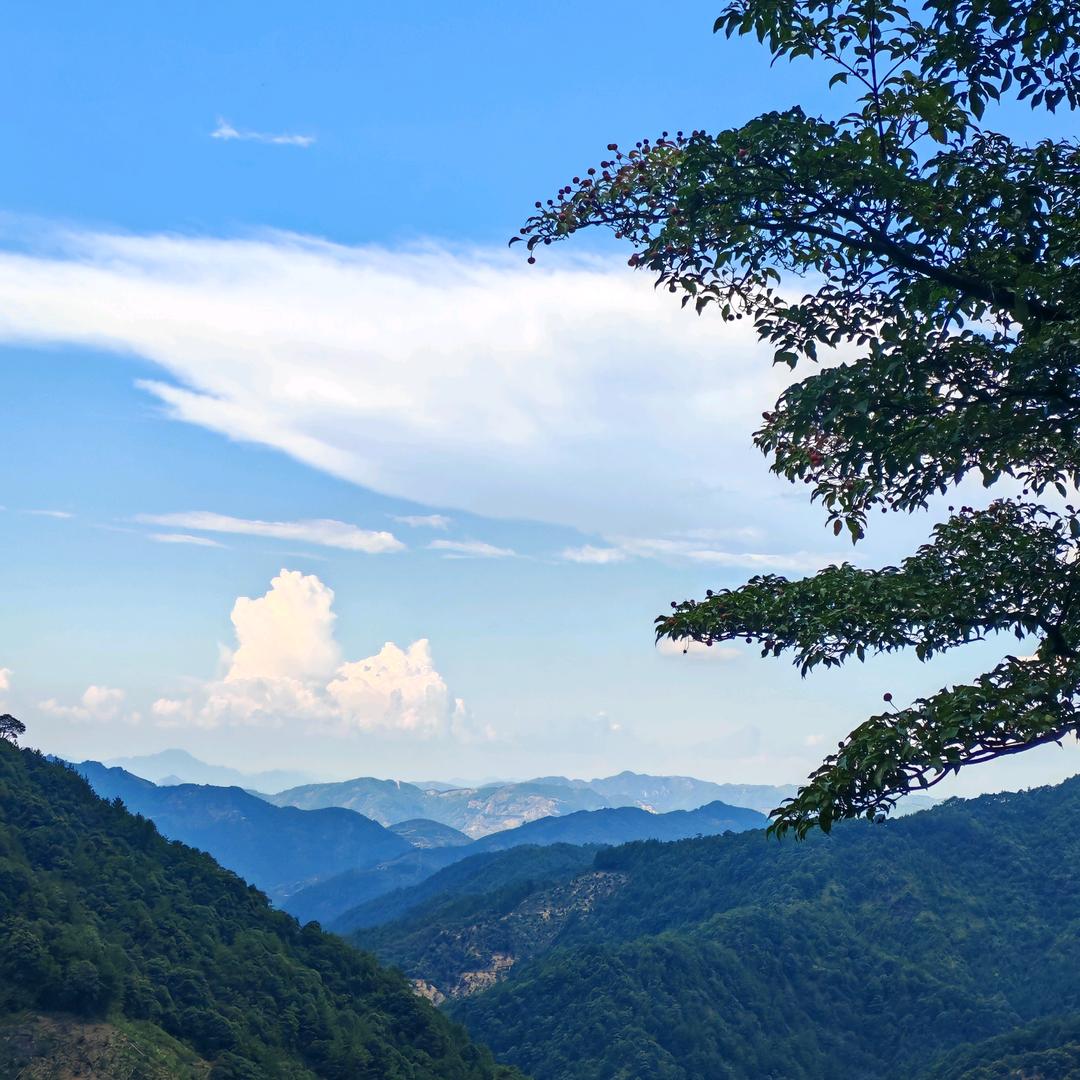 🍀好运常相伴🍀