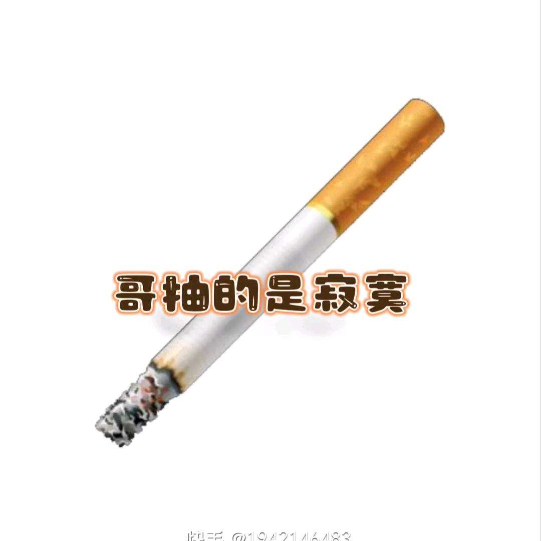 磊哥的一天