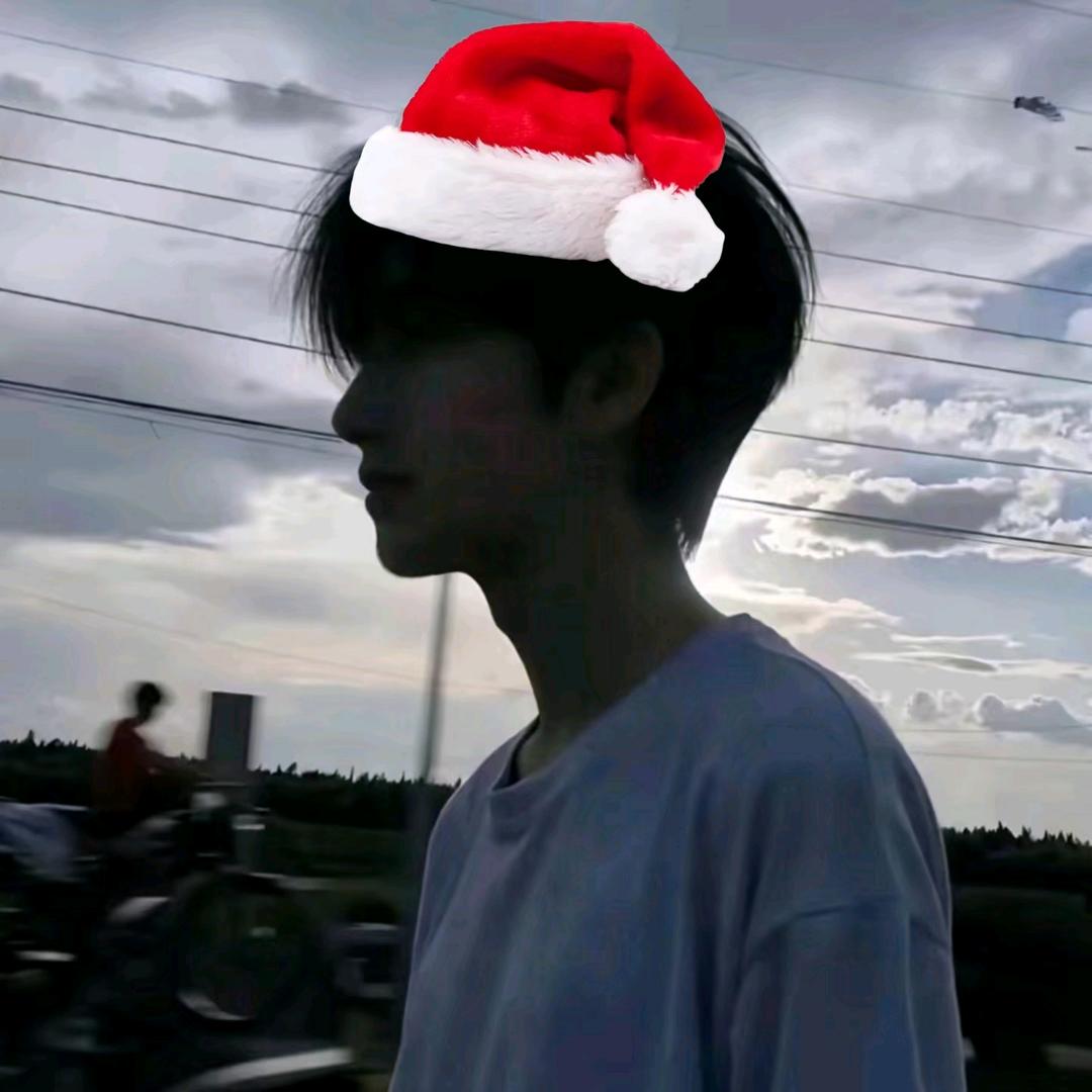 顾林宸