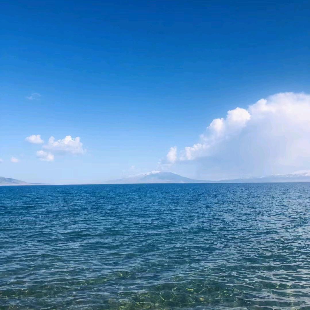 朋。