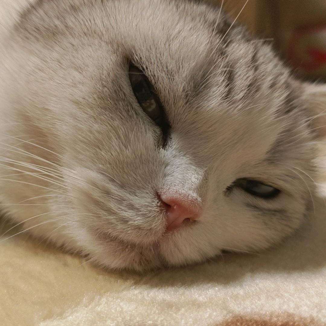 拾光