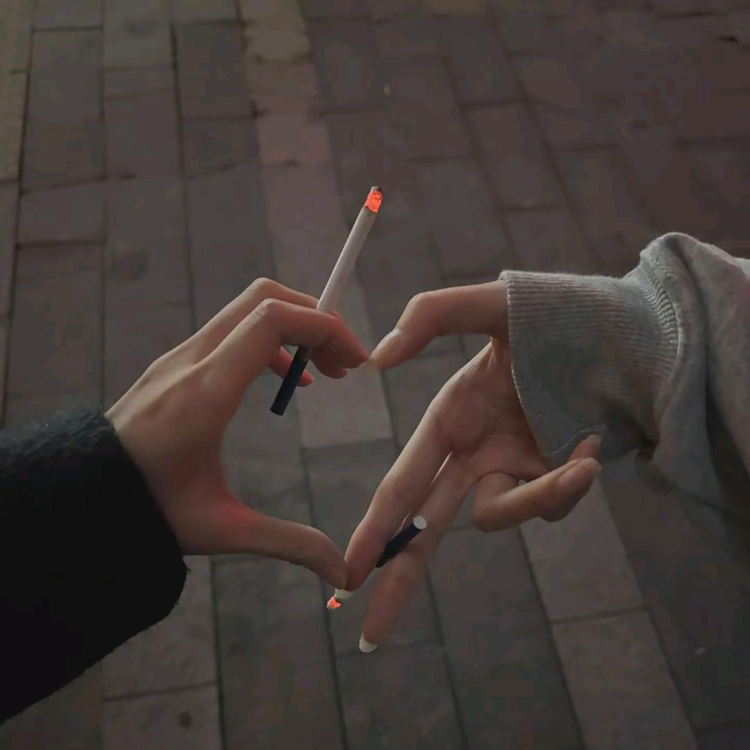 月光下的凤尾竹🎋