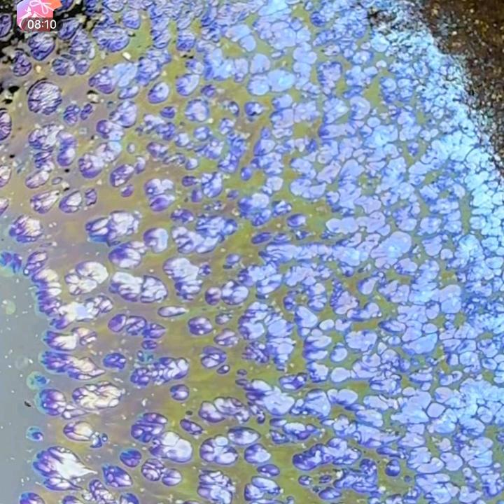 赏心茶盏