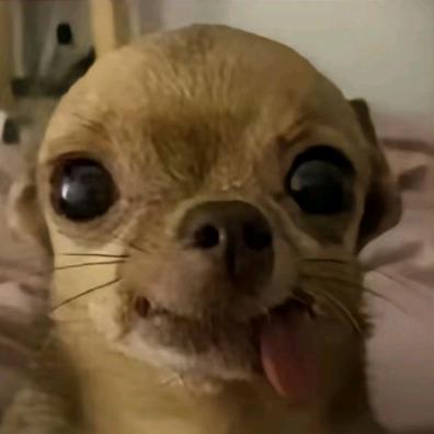 无限智慧(阿尘)