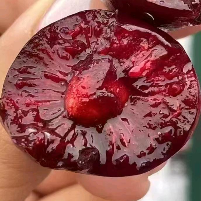 东方珍擎新鲜水果NWI（桥山路店）