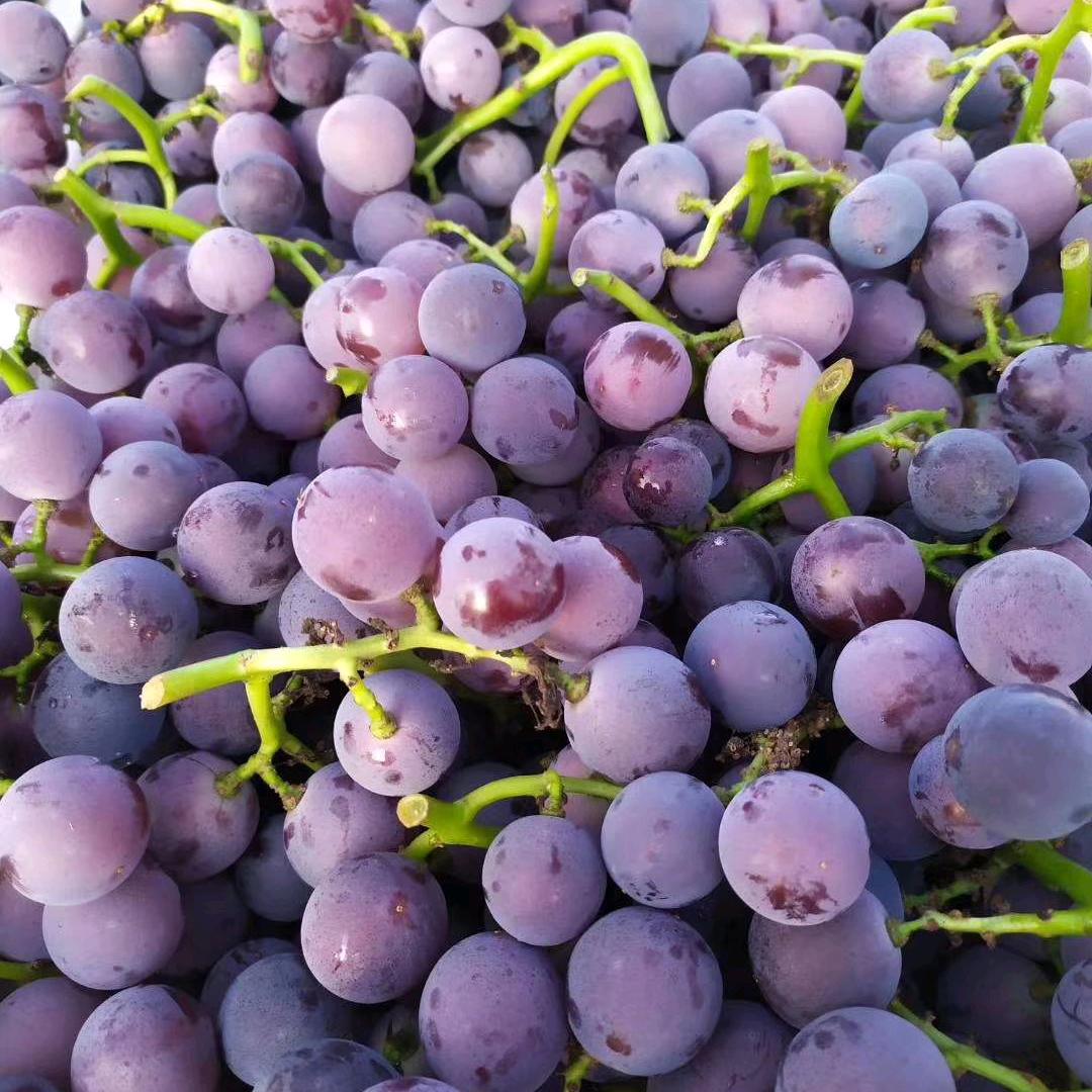 水果代办靳老三(农产品)