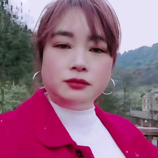 独来独往🐈