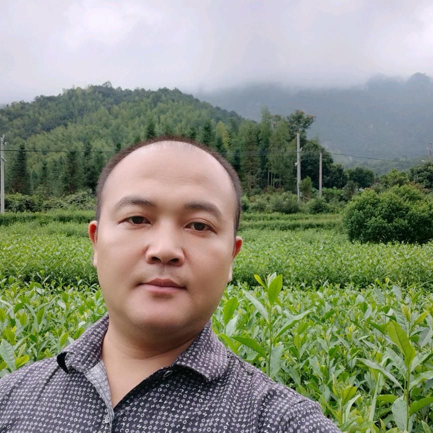 上犹茶匠(老罗)炒高山茶