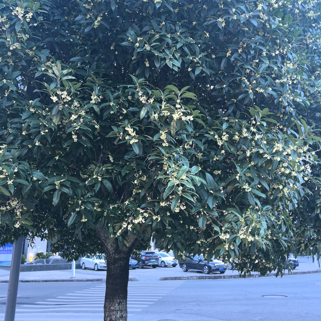 🕊🥀ঞᩚ余ꦿ᭄生꧔ꦿ爱᭄自己 🕊꧔