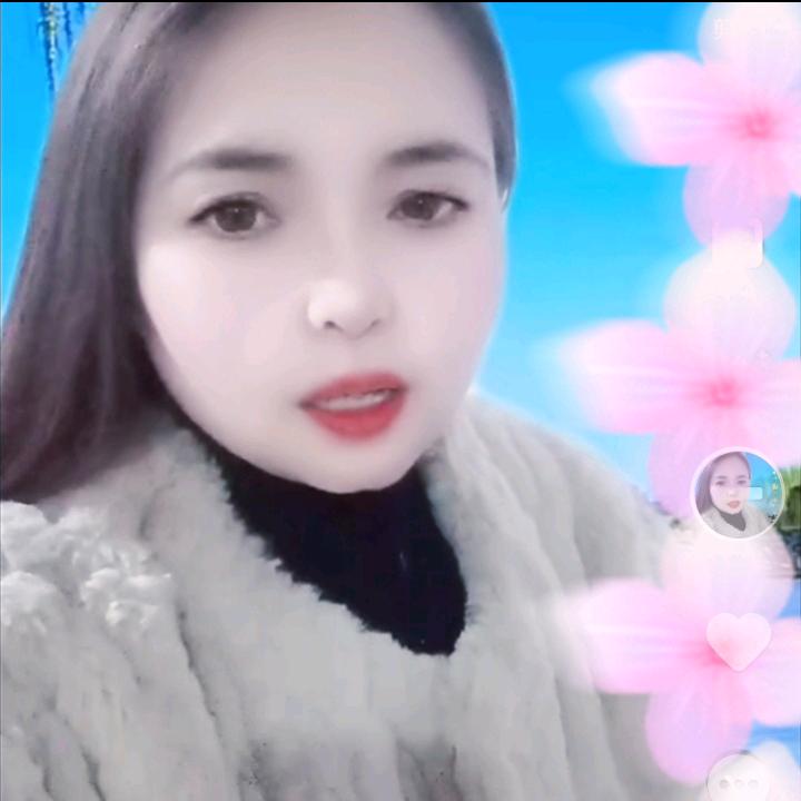 燕子服饰