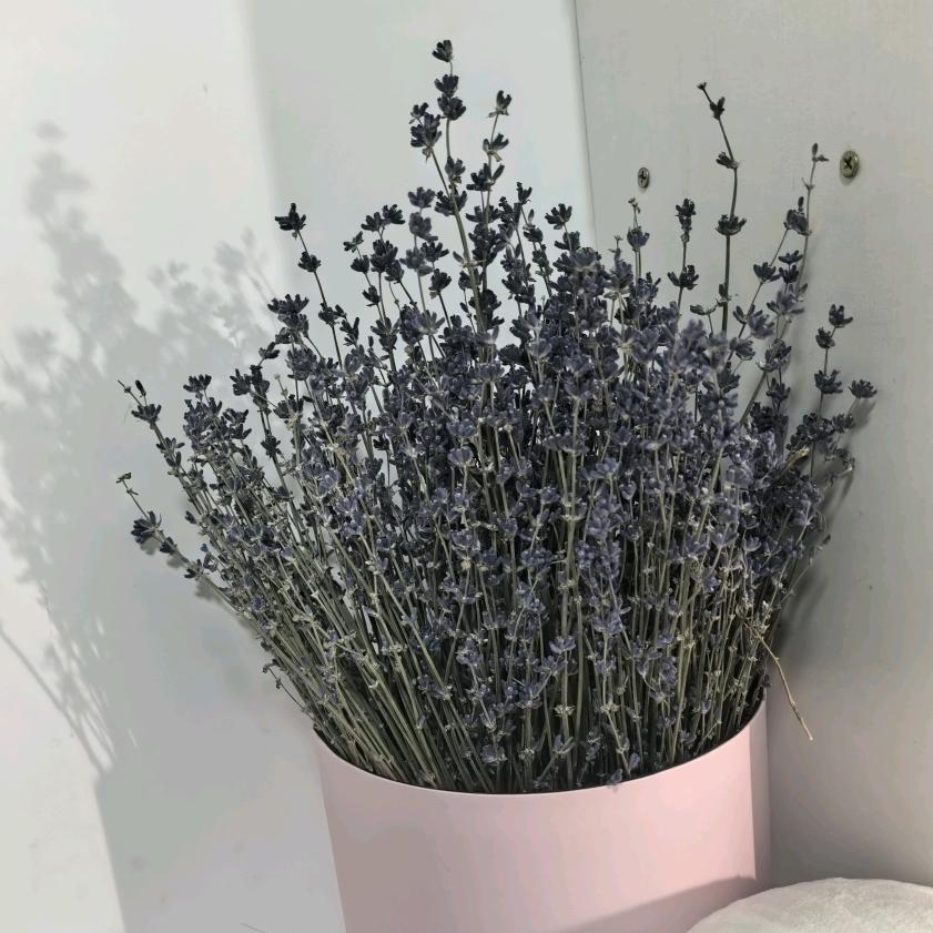 oo୧⍤⃝୧⍤⃝