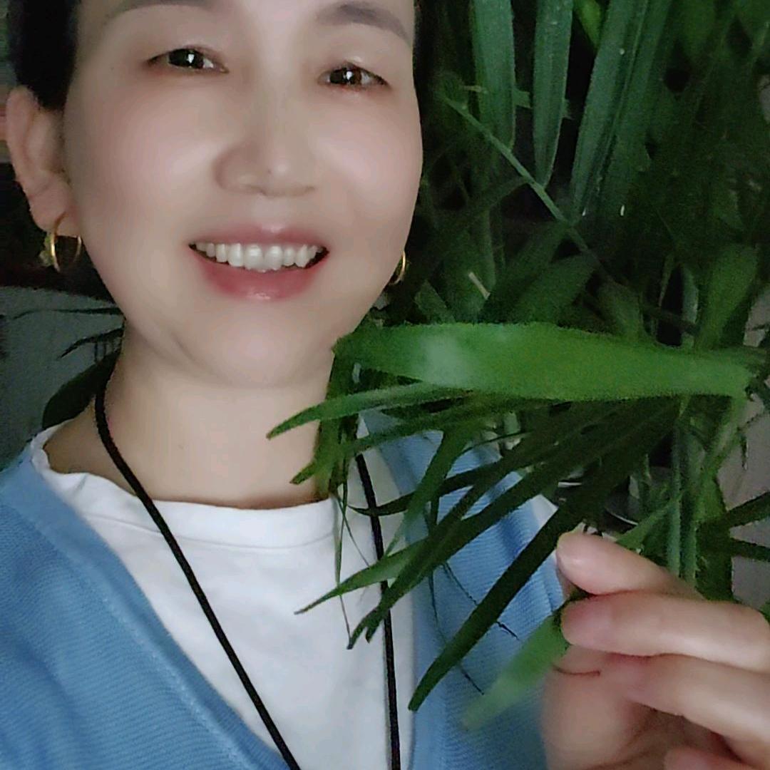 赵清兰
