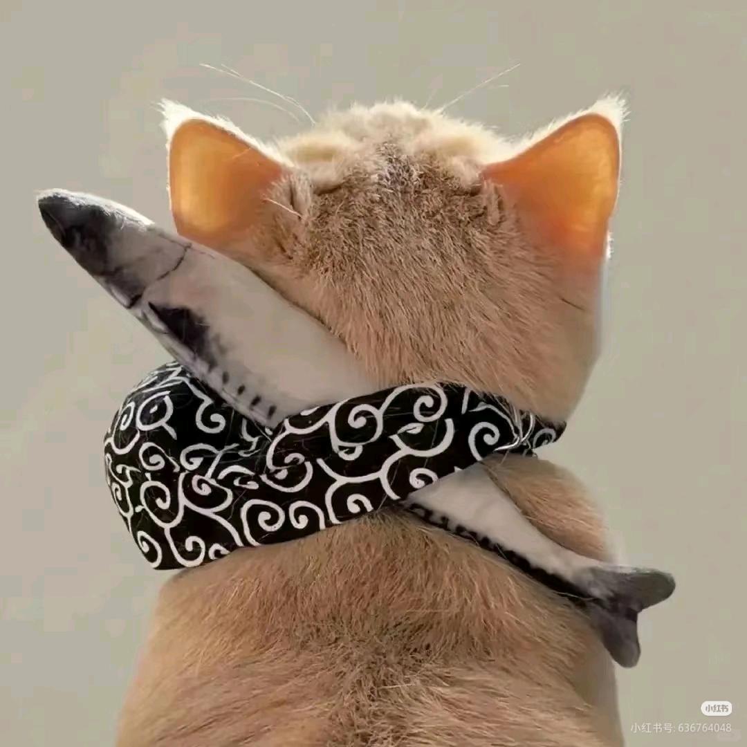 小点点😃😌😉