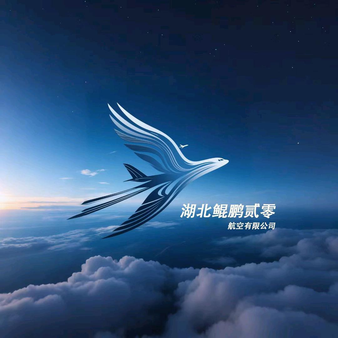 湖北鲲鹏贰零航空有限公司