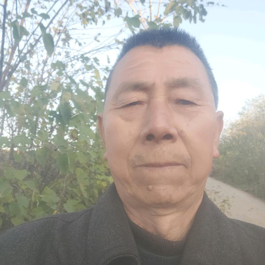 四季平安