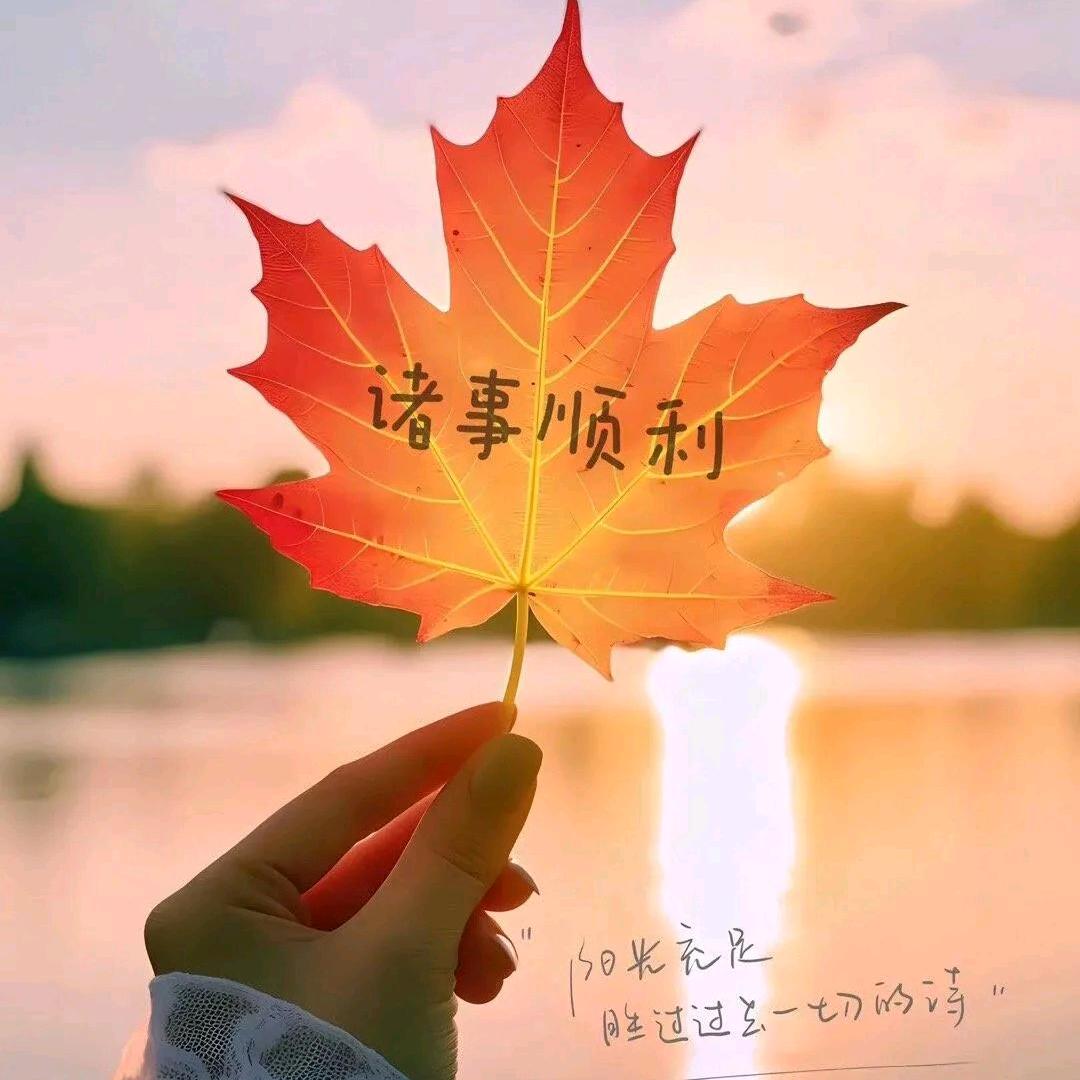 笔芯
