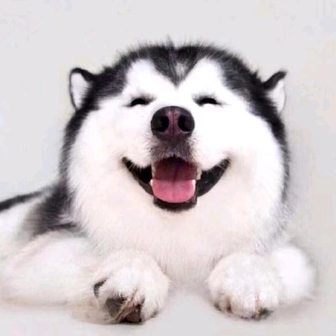 囧彡途丶