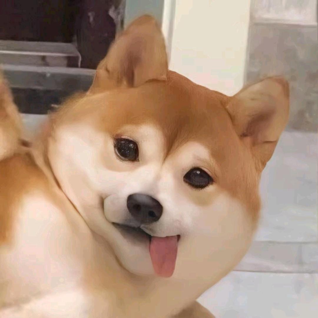 乂氼
