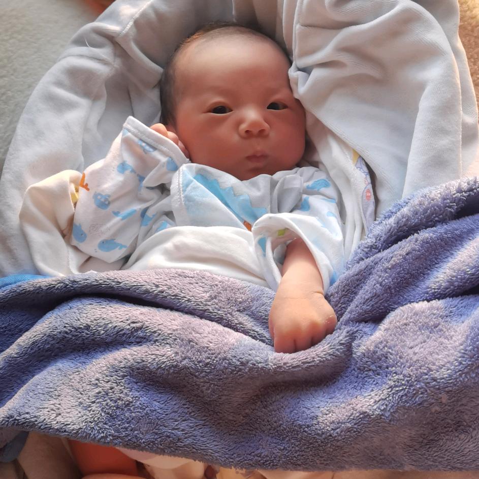 小柠檬