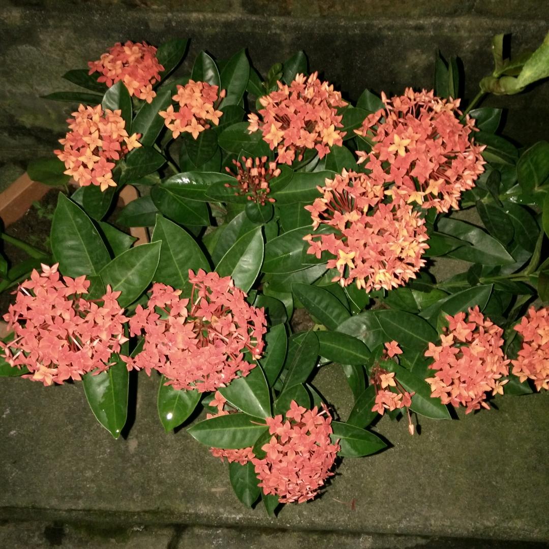 异乡✨️¹³¹⁴