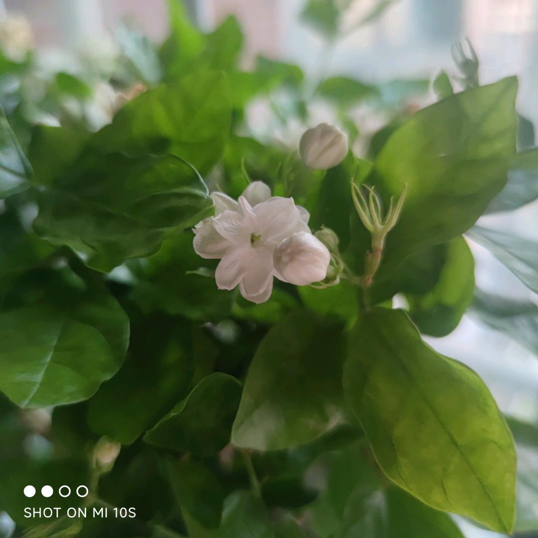 劉福❤️de👩🏻🌸