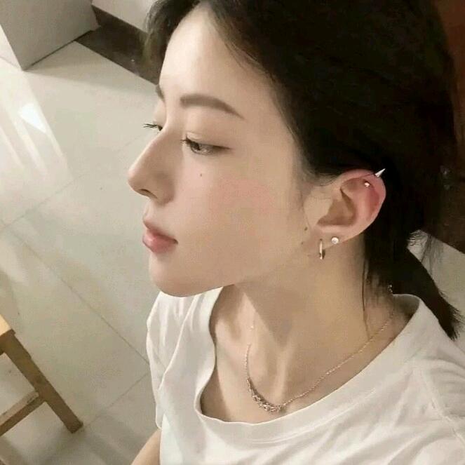 总统.