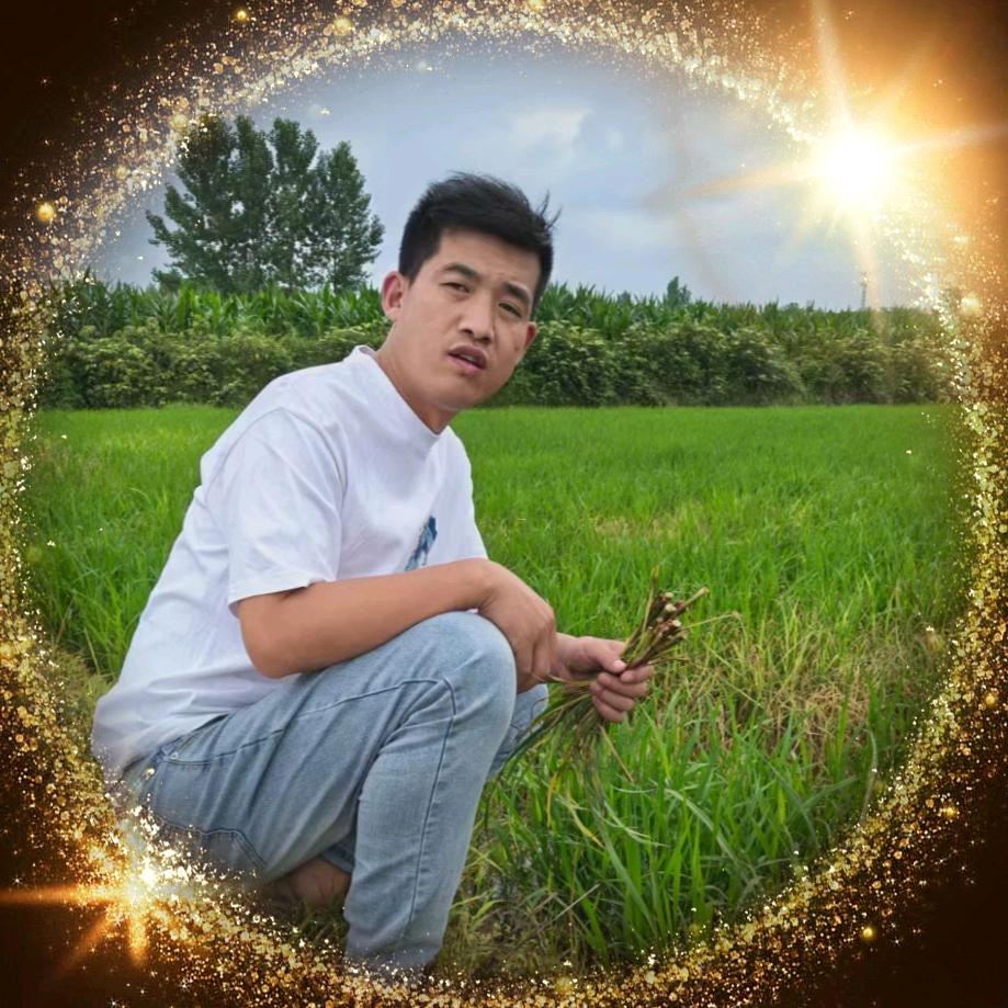 ✰枣阳•植保✰