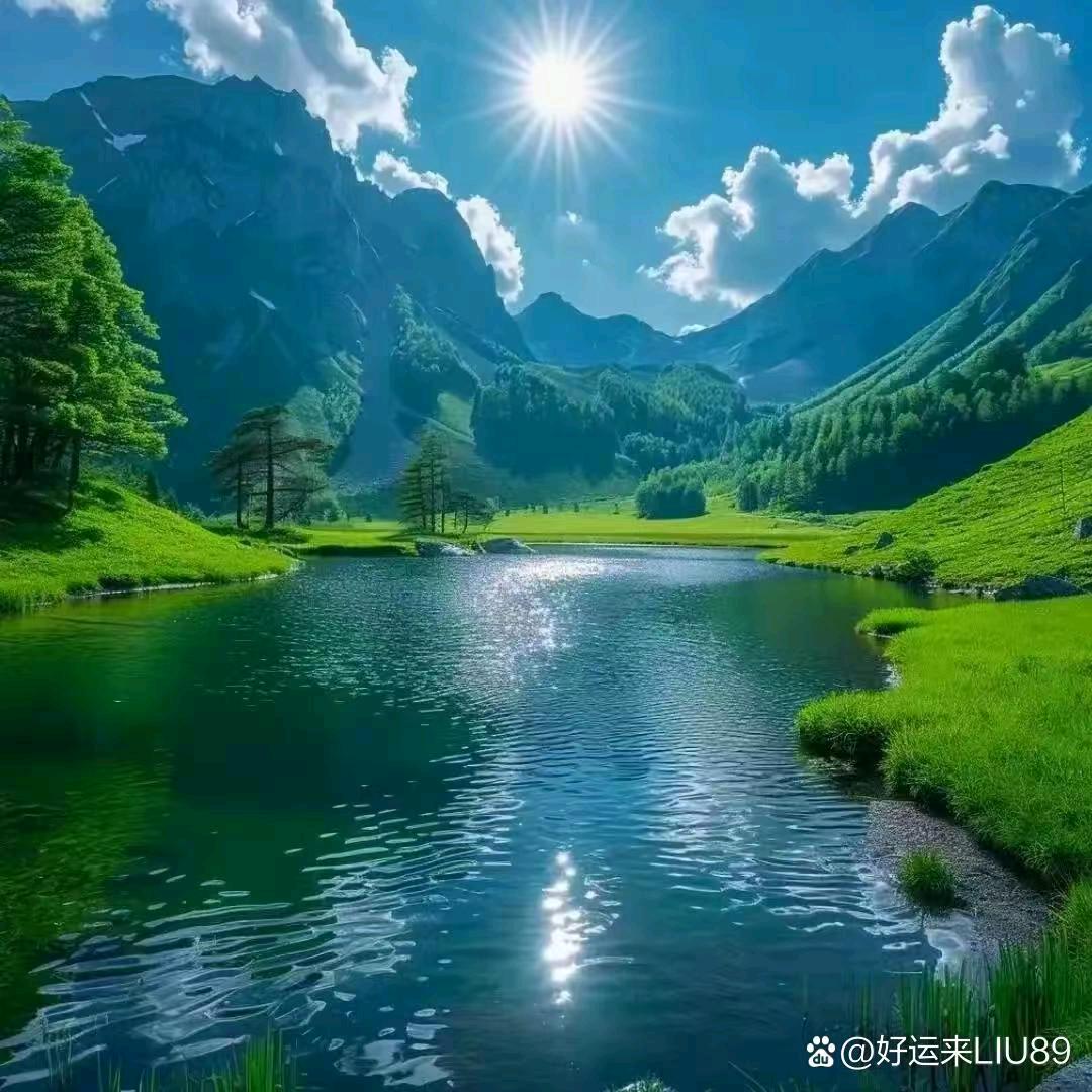 枕书入梦