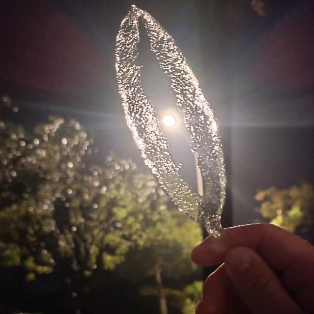 栀虞
