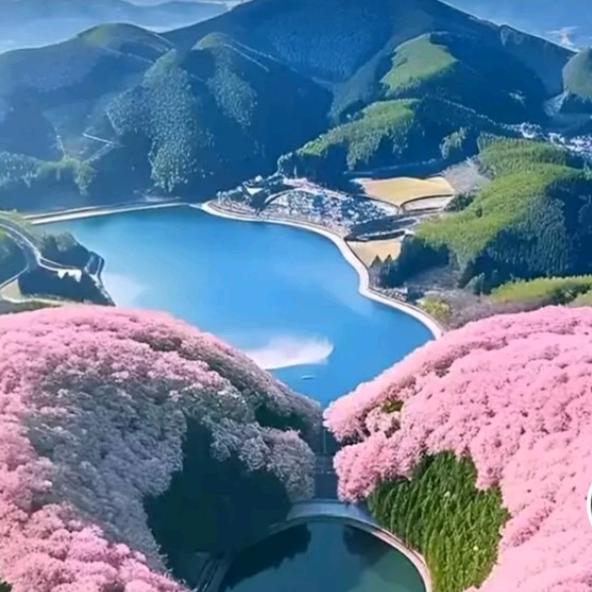 用户27851202366763