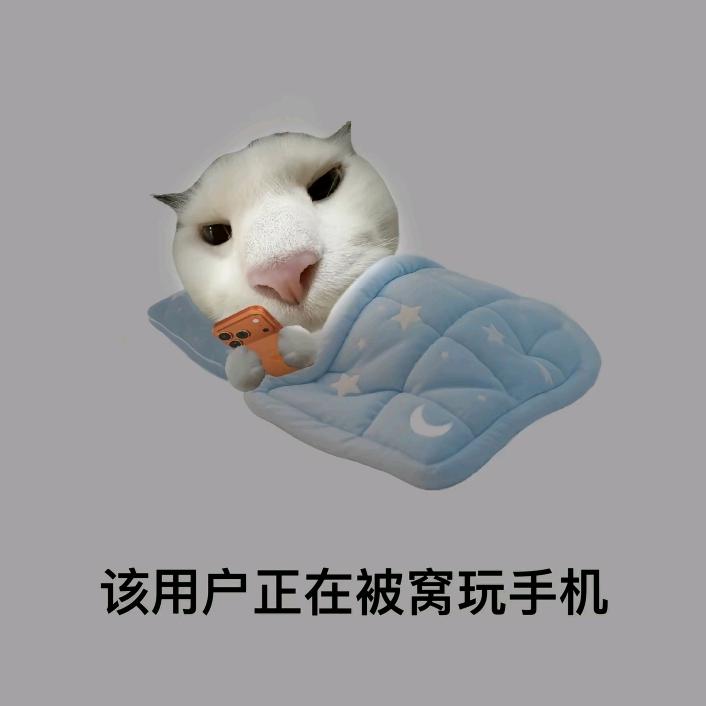 重生为司空震一胞九胎之霸道风暴龙王强制爱