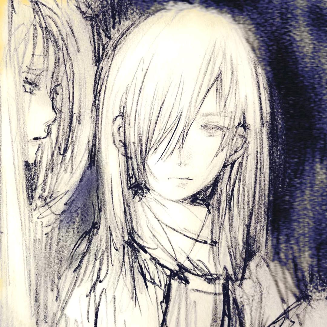 飞鸟了
