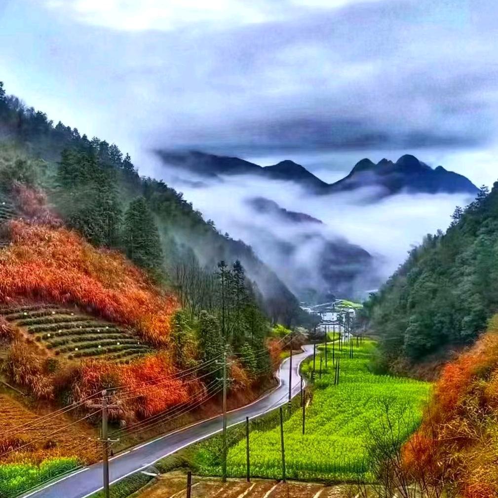 蓝逸雅然