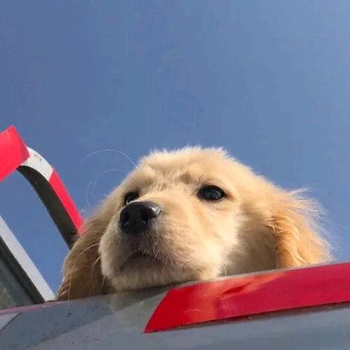 穿上苏菲大显神威