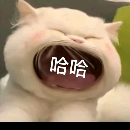 莫  不  做  声