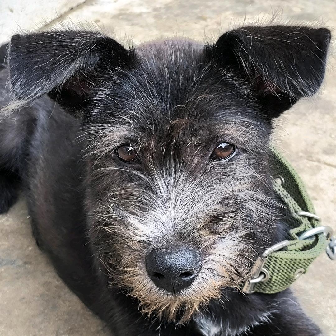 夏天是个小憨憨