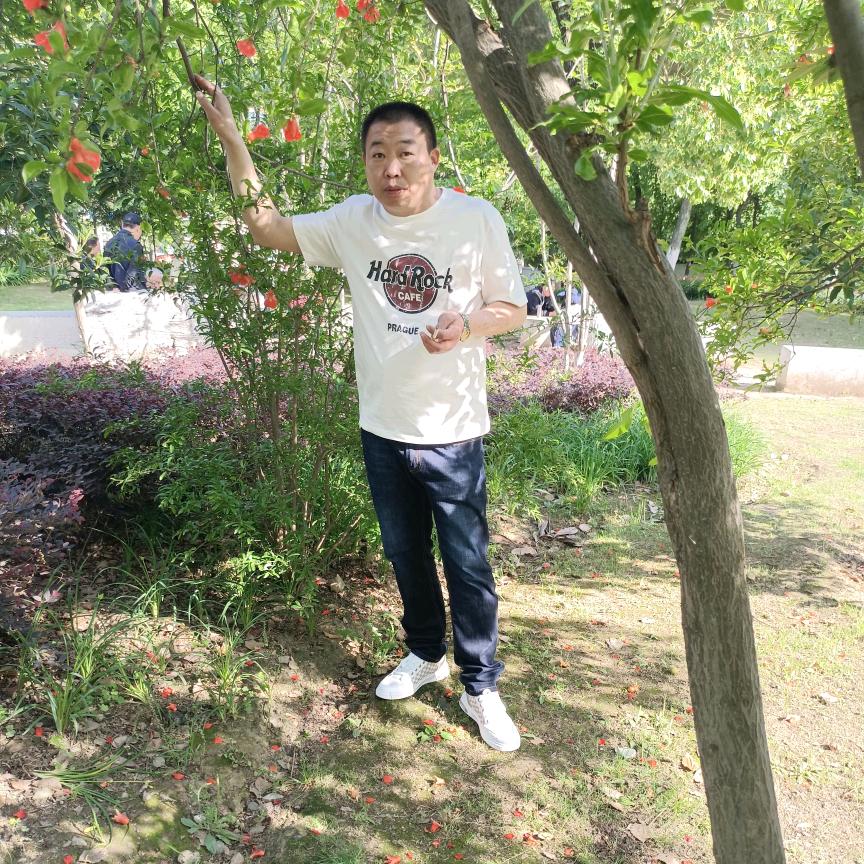 薇韦的春风杨柳树发芽
