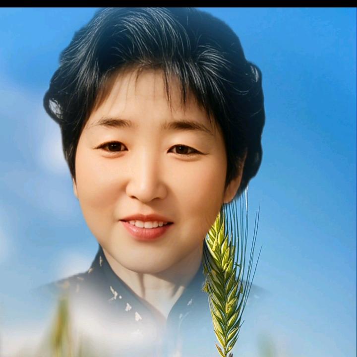 杨姐好物优选